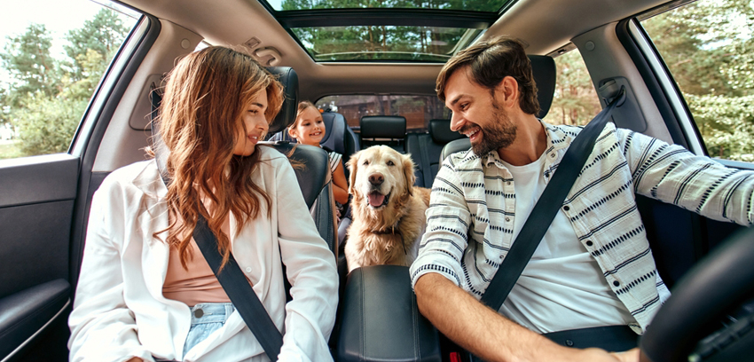 A family of four and a golden retriever riding in a car with seatbelts fastened - https://www.sartori-insurance.com/