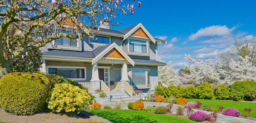 Front garden with flowering shrubs and magnolia tree at a suburban house