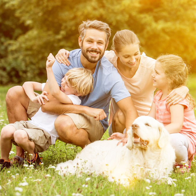 Life Insurance - https://www.sartori-insurance.com/
