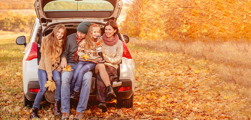 Auto Insurance - Fall Banner Auto Insurance