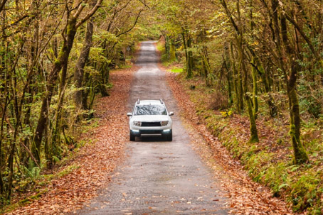 auto_right_fall auto_right_fall